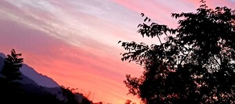 Minca Seasons Birds