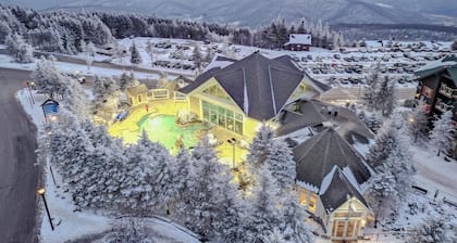 372 Mountain Lodge Ski/Bike/Hike In & Out