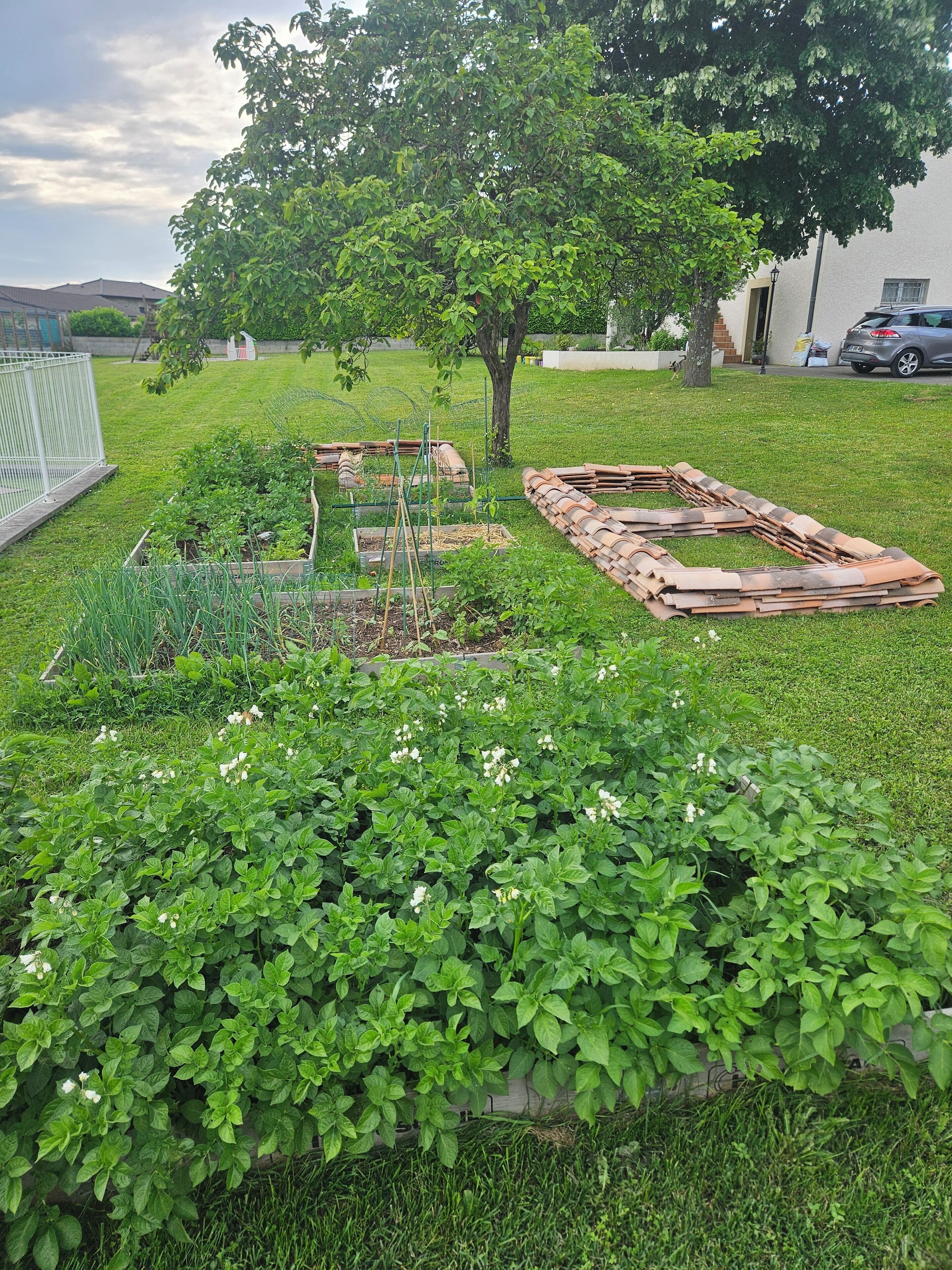 Property grounds