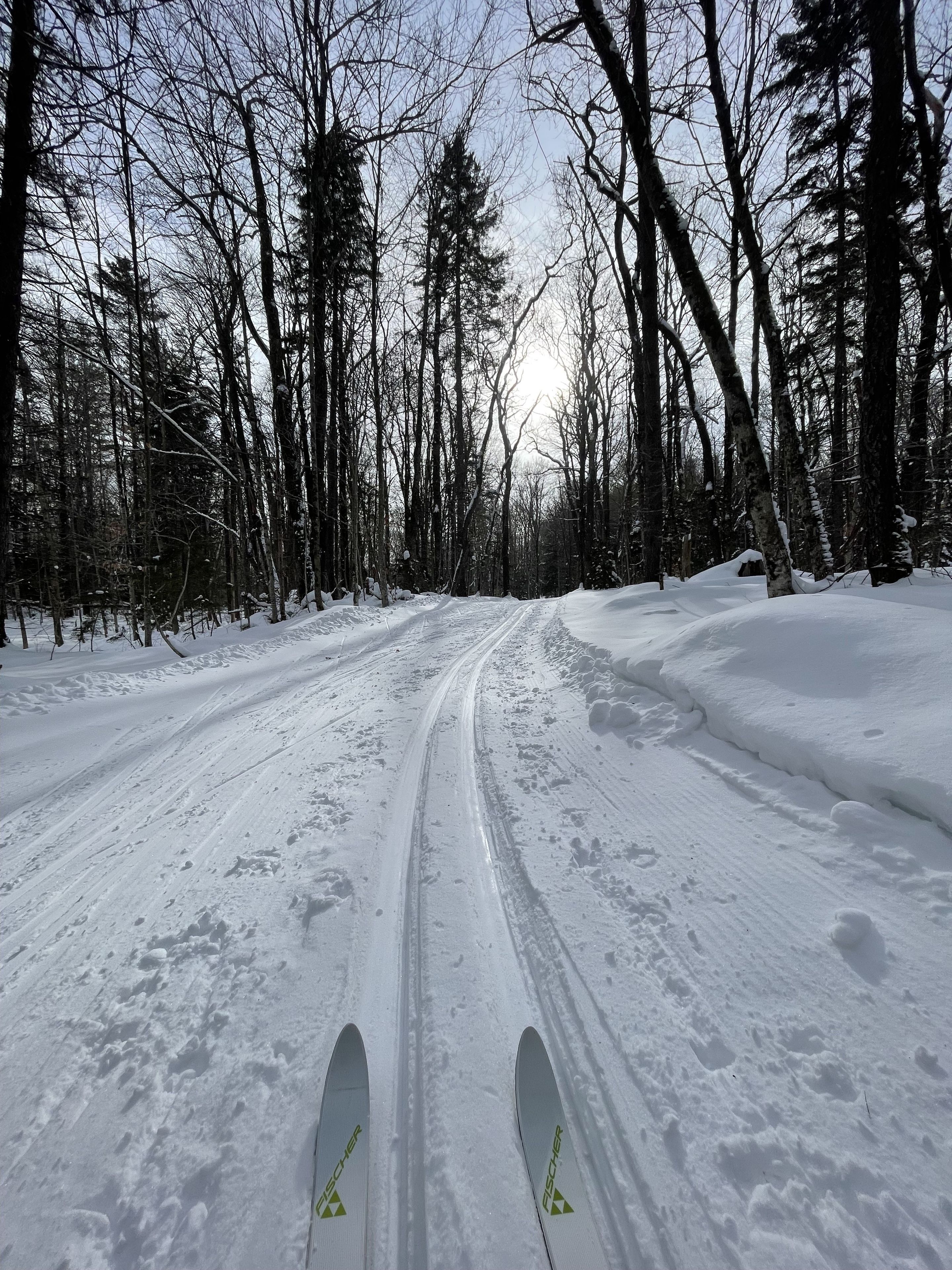 A snowy forest road with tire tracks and skis.