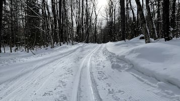 Ein verschneiter Waldweg mit Spurren und Skiern.