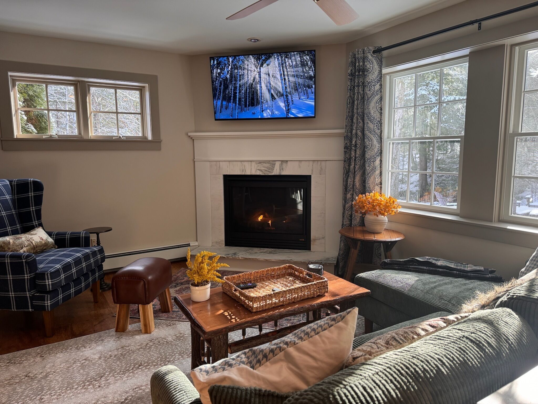 Smart TV, fireplace, books