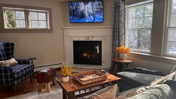 Smart TV, fireplace, books