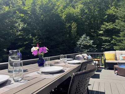 Your perfect pet friendly, summer retreat w/ serene brook, hot tub and fire pit.