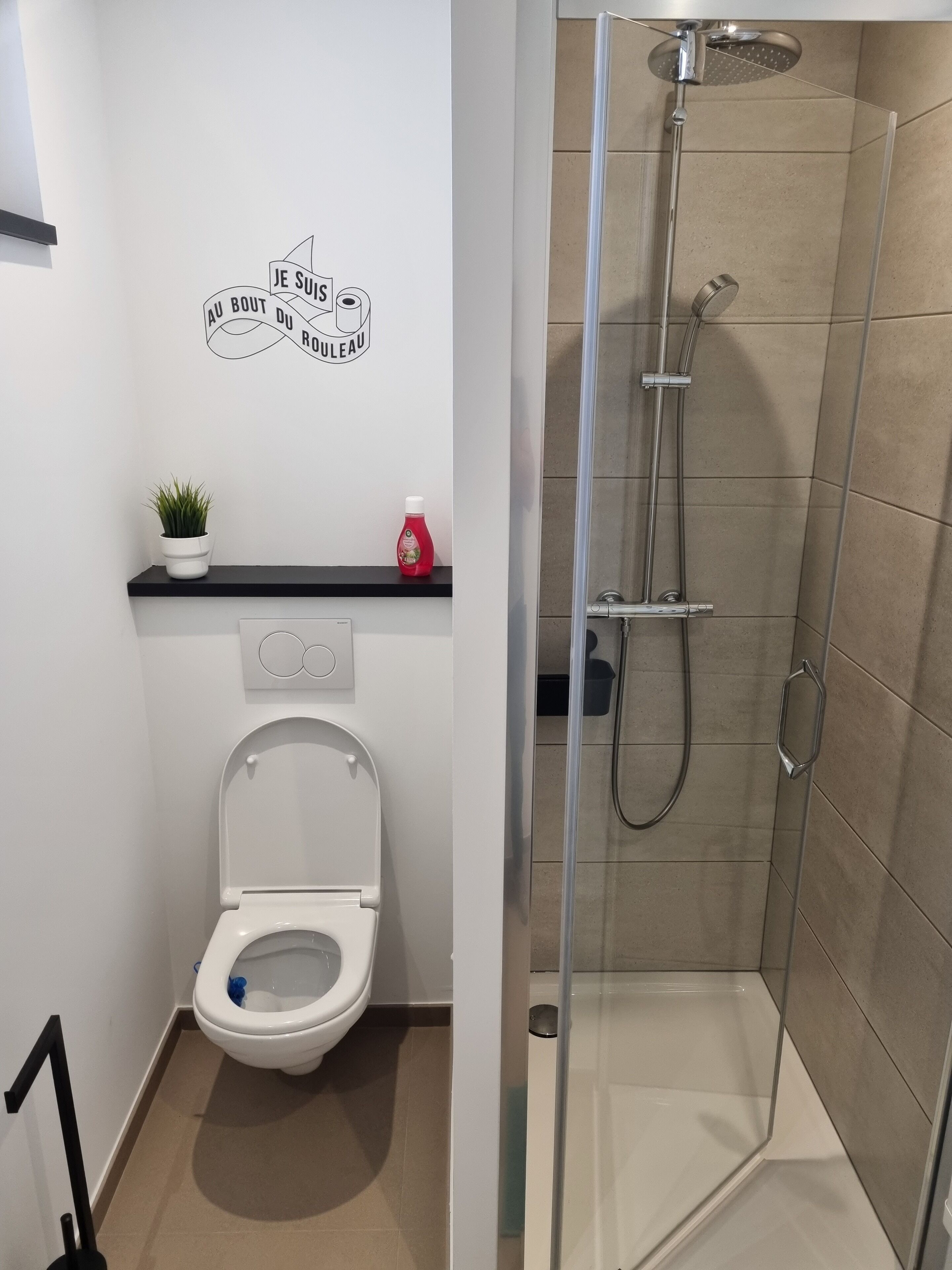 Regadera, toallas, papel de baño 