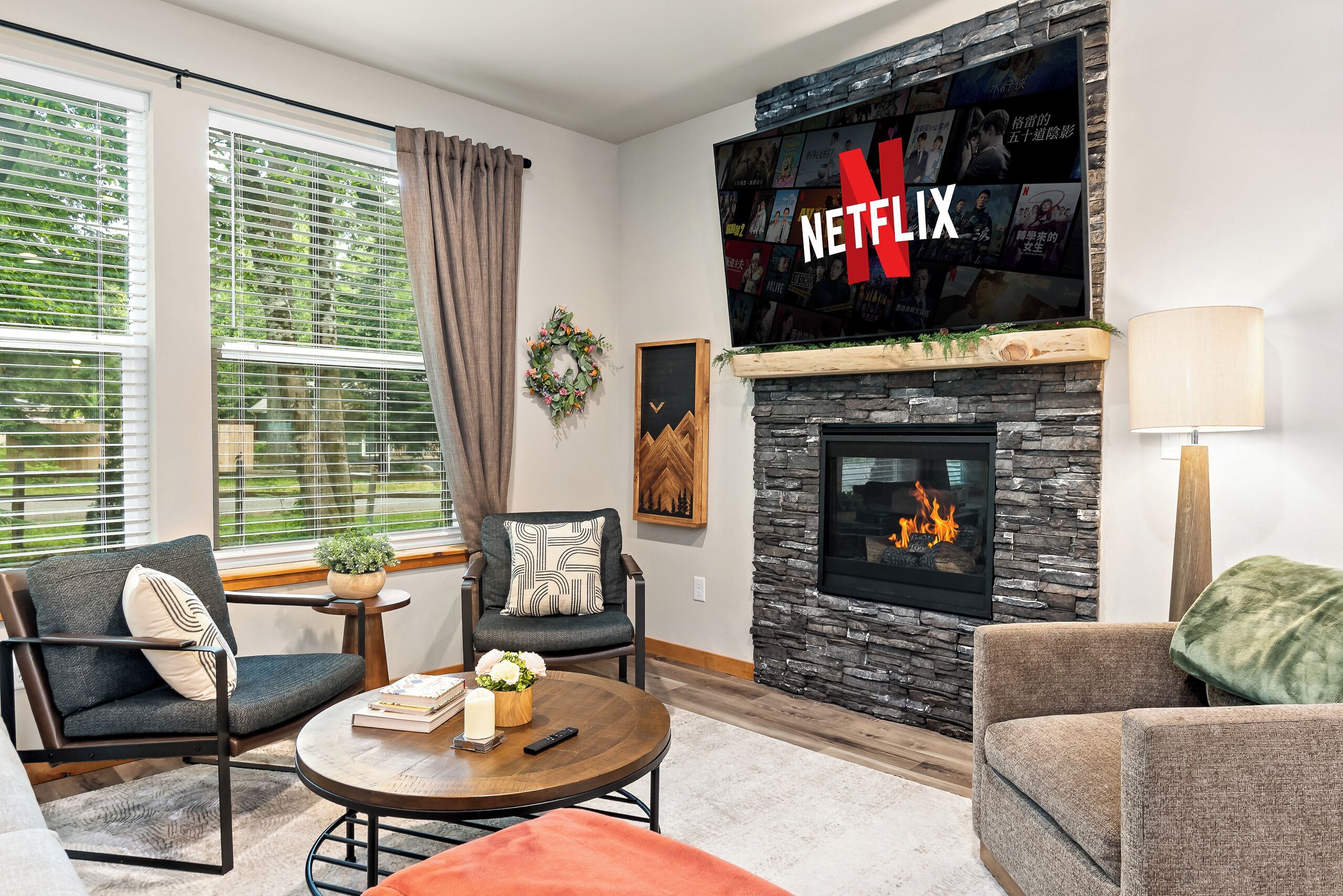 Smart TV, fireplace, books