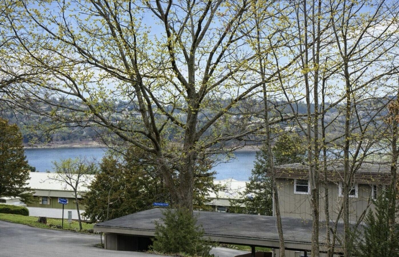A residential area with a house, a garage, and a tree with spring blossoms.