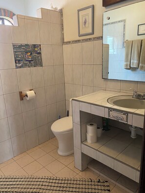 Shower, towels, toilet paper
