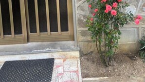 Un mur de pierres avec une porte en bois et un rosier grimpant.