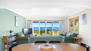 TV, fireplace, books