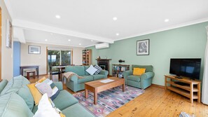 TV, fireplace, books