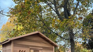 Un abri en bois avec une porte et une petite fenêtre, entouré de feuilles mortes et d’une clôture en bois.