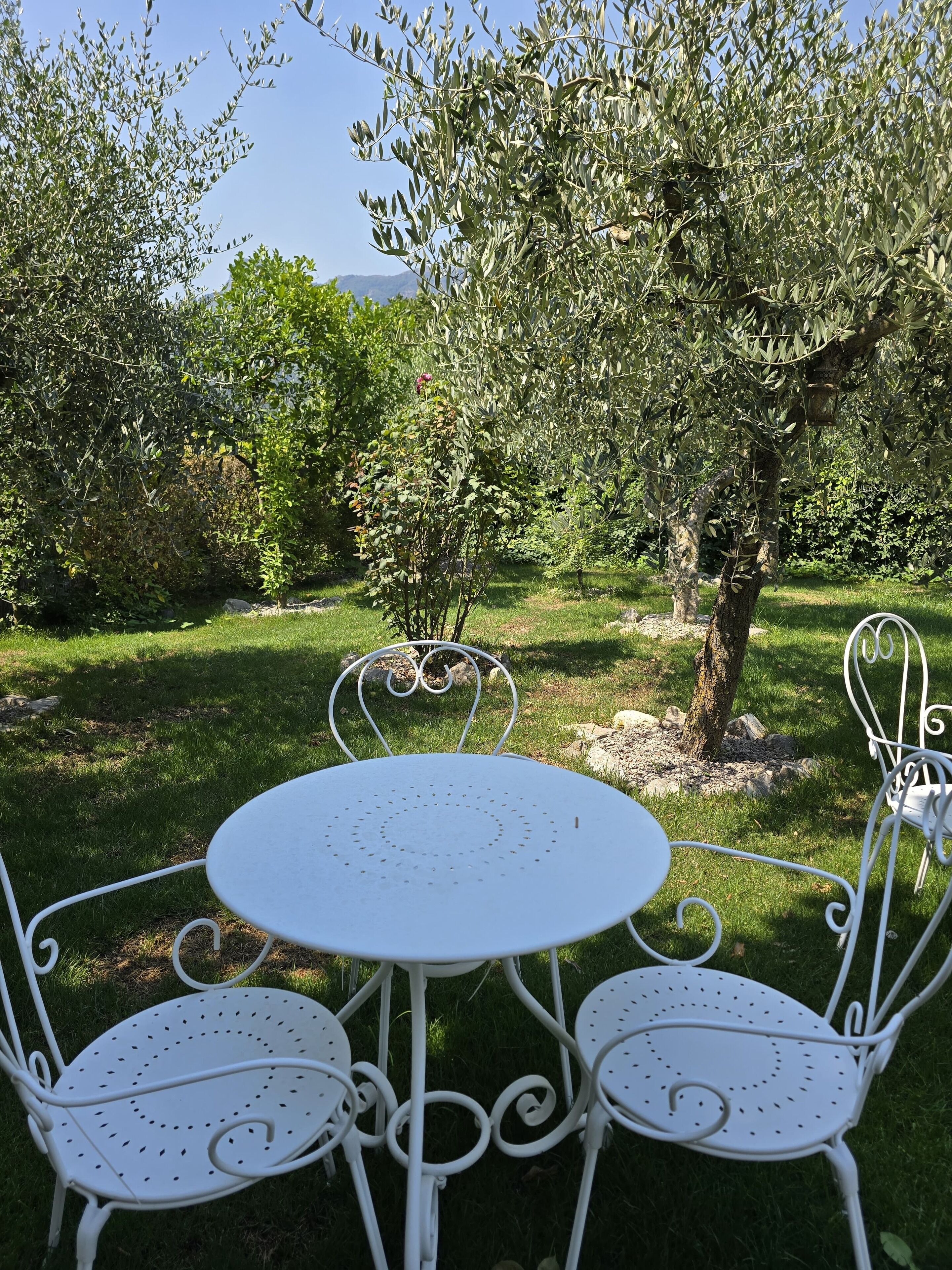 Juego de mesa y sillas de metal blanco al aire libre, con un árbol de fondo.