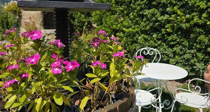 Tramonti Divini Amalfi Country House