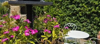 Tramonti Divini Amalfi Country House