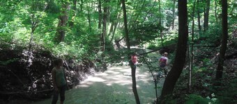 Welcome to our magical woods! Relax, unwind a world away but close to home.