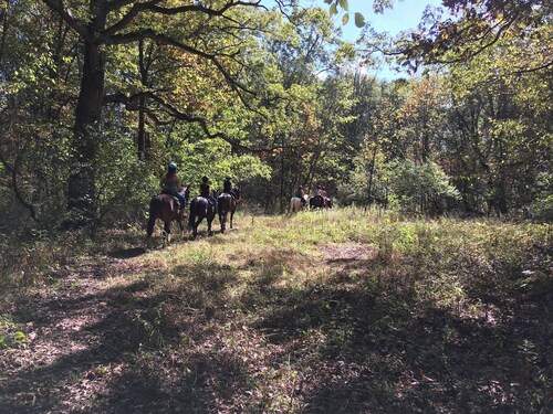 Welcome to our magical woods! Relax, unwind a world away but close to home.