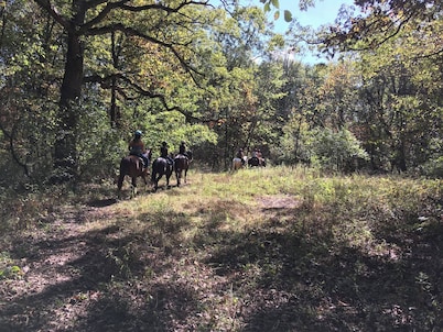 Welcome to our magical woods! Relax, unwind a world away but close to home.