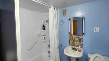 Hair dryer, towels, soap, toilet paper