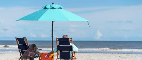 Una playa cerca