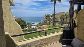 Property grounds - OCEAN-Front!! Just Remodeled 1-bedroom condo. Misiones3201com. 2 Pools. MORE! (Cabo San Lucas)