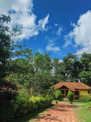 Exterior - Guddadamane Homestay - Cottage (Chikkamagaluru)