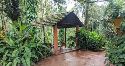 Guddadamane Homestay Estate View with Private Hut