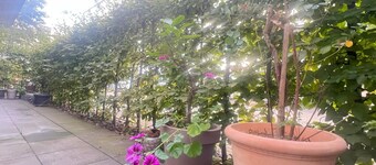 Zentrale, familienfreundliche Wohnung mit Terrasse, Tiefergarage in Essen