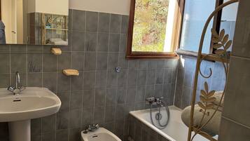 Assecador de cabells, bidet, tovalloles i sabó