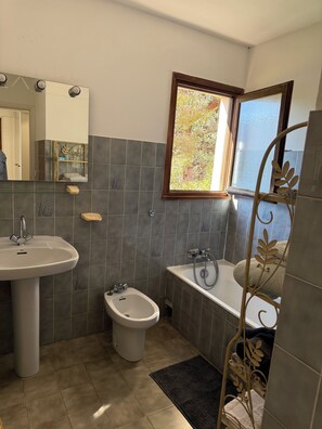 Assecador de cabells, bidet, tovalloles i sabó