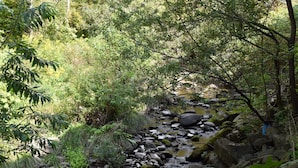 A natural stream surrounded by rocks and greenery.