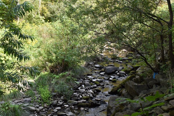 A natural stream surrounded by rocks and greenery.