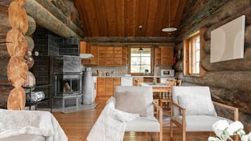 TV, fireplace, books