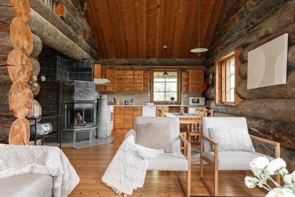 TV, fireplace, books
