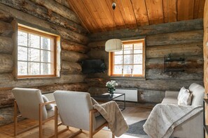 TV, fireplace, books