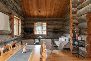 TV, fireplace, books