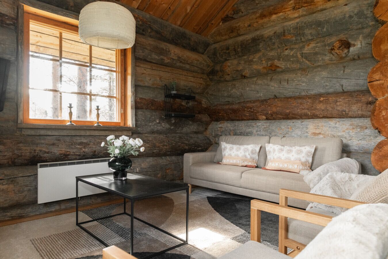 TV, fireplace, books