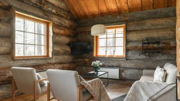 TV, fireplace, books