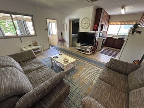 TV, DVD player, video library