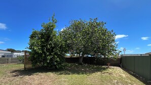 A fenced backyard with a large tree and a grassy area. - Mulberry Cottage: relaxing times with friends, family - and fishing! (Leeman)