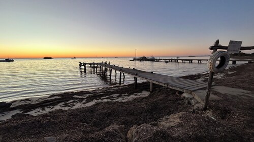 Mulberry Cottage: relaxing times with friends, family - and fishing!