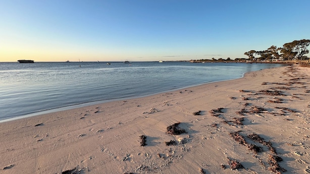 A beach with footprints and seaweed, calm water, and boats in the distance. - Mulberry Cottage: relaxing times with friends, family - and fishing! (Leeman)