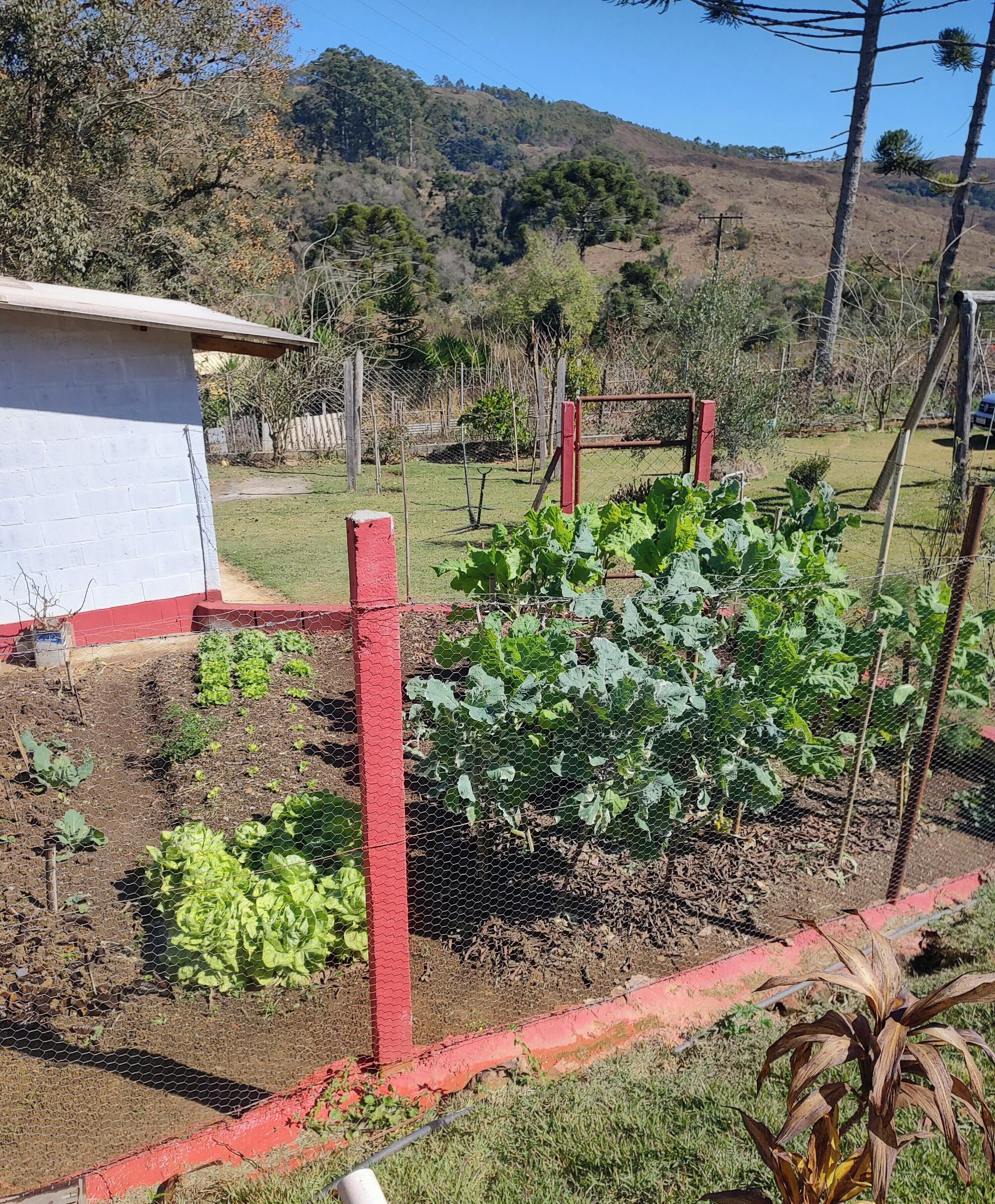 Un jardín con diversas plantas, un área cercada y un edificio de techo rojo.