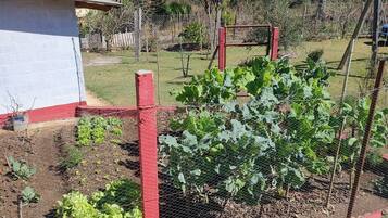 Un jardín con diversas plantas, un área cercada y un edificio de techo rojo.