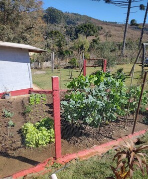 A garden with a variety of plants, a fenced area, and a building with a red roof.