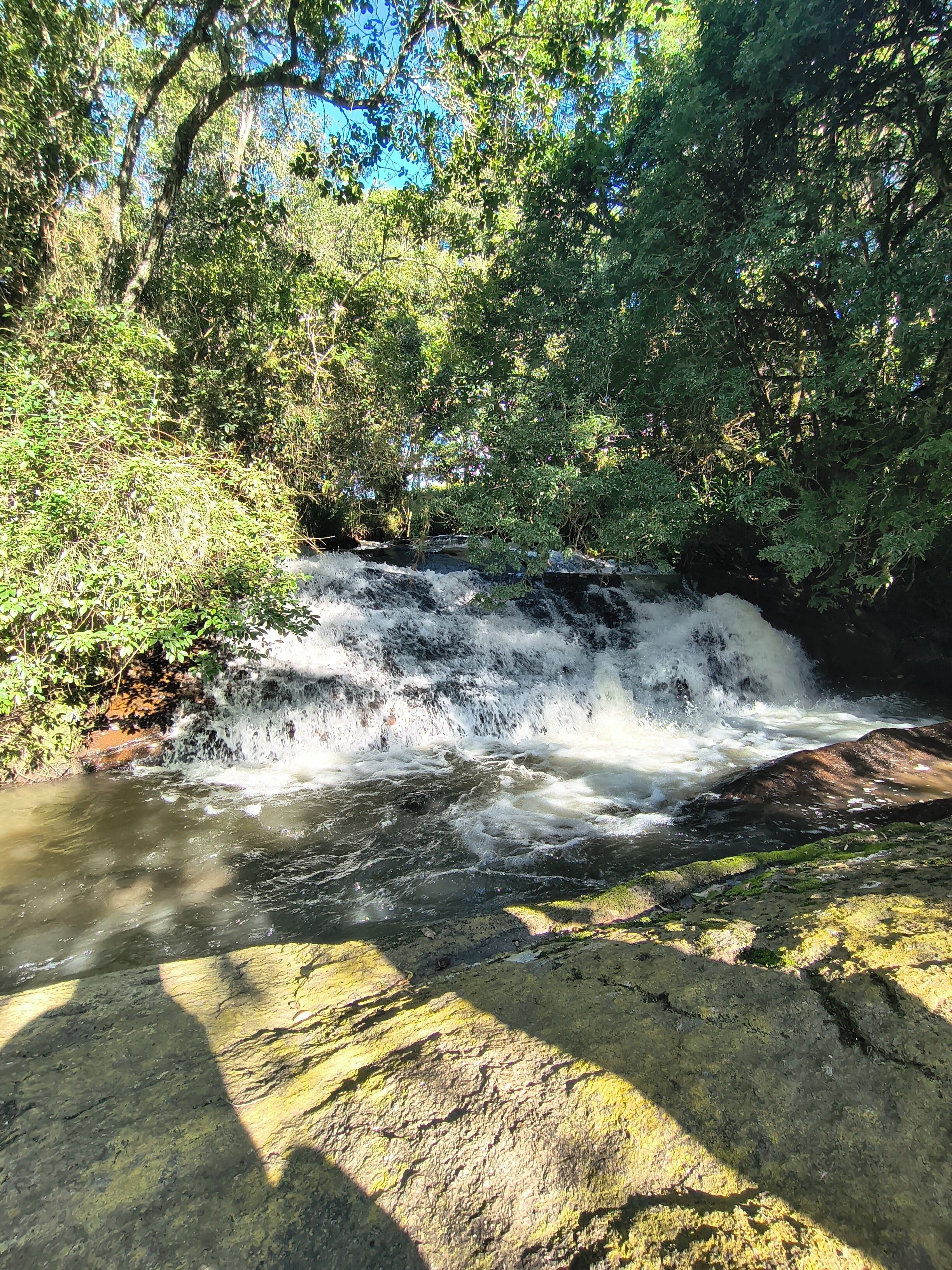 Een waterval in een weelderige, dichte begroeiing.