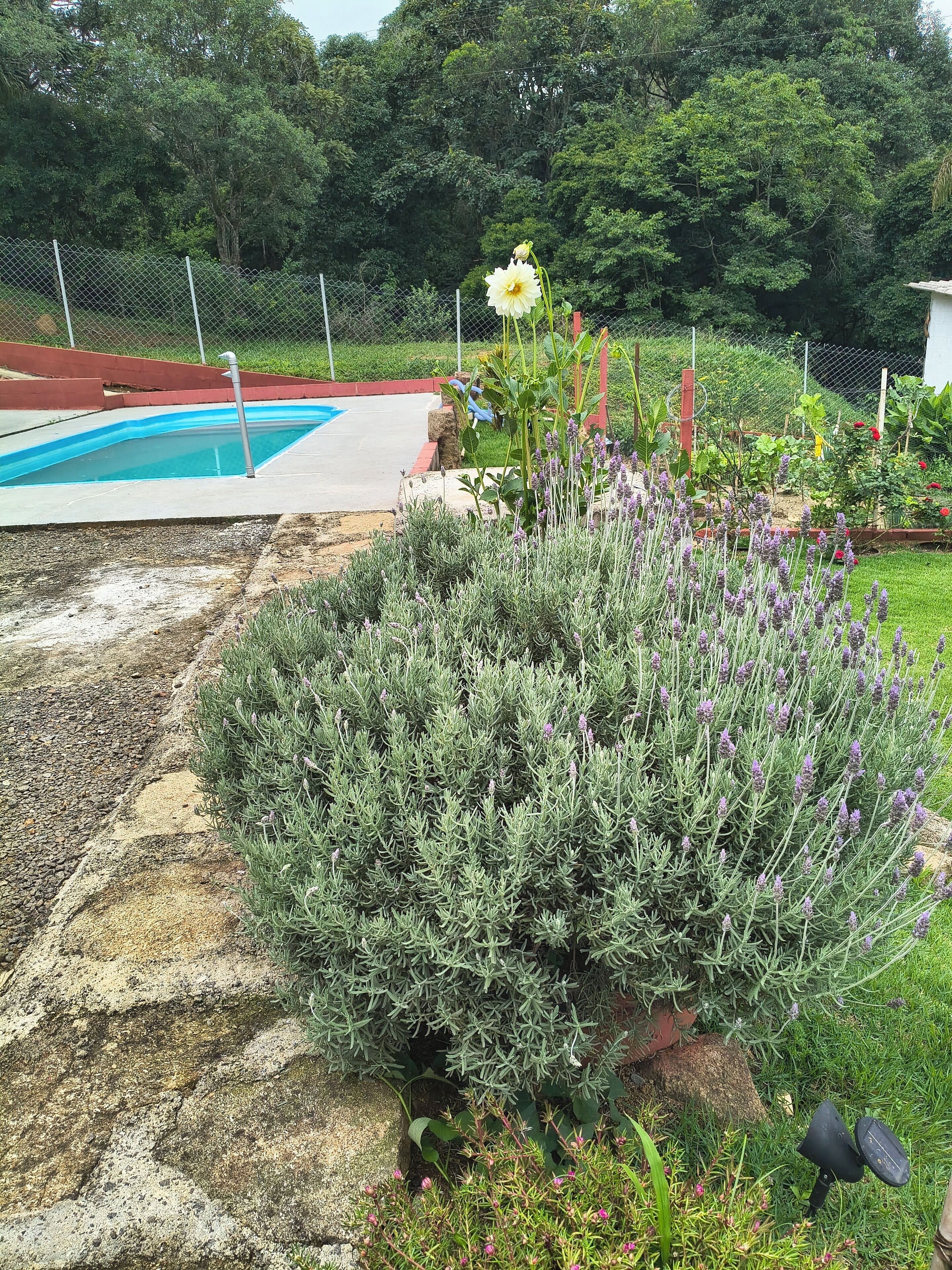 Jardín