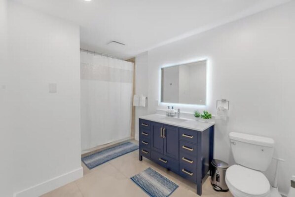 Hair dryer, towels, soap, toilet paper