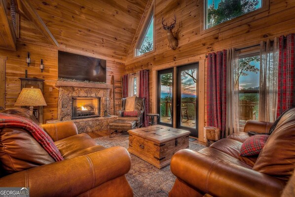 TV connectée, cheminée, jeux vidéo, livres