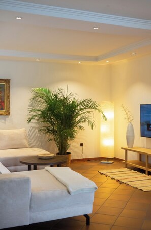 Smart TV, caminetto, libri